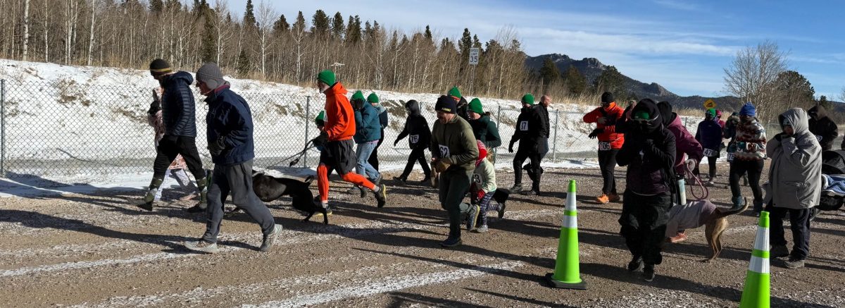 runners at 2025 turkey trot