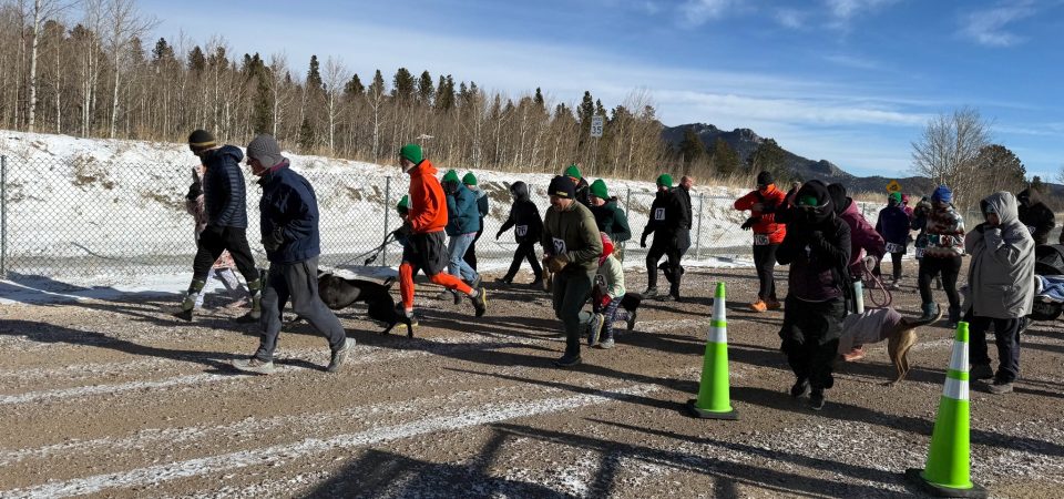 runners at 2025 turkey trot
